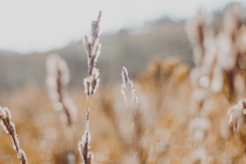 cheri and keli morrison judson and chick