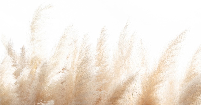 From Darkness to Light: Coping with Winter’s Darkness image