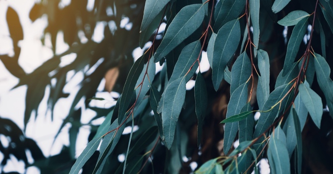 From Darkness to Light: Coping with Winter’s Darkness image